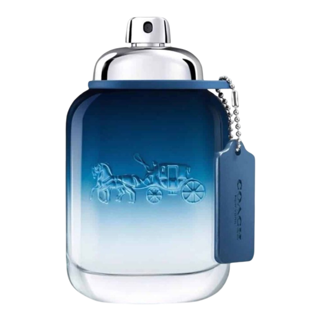 COACH BLUE EDT 100 ML