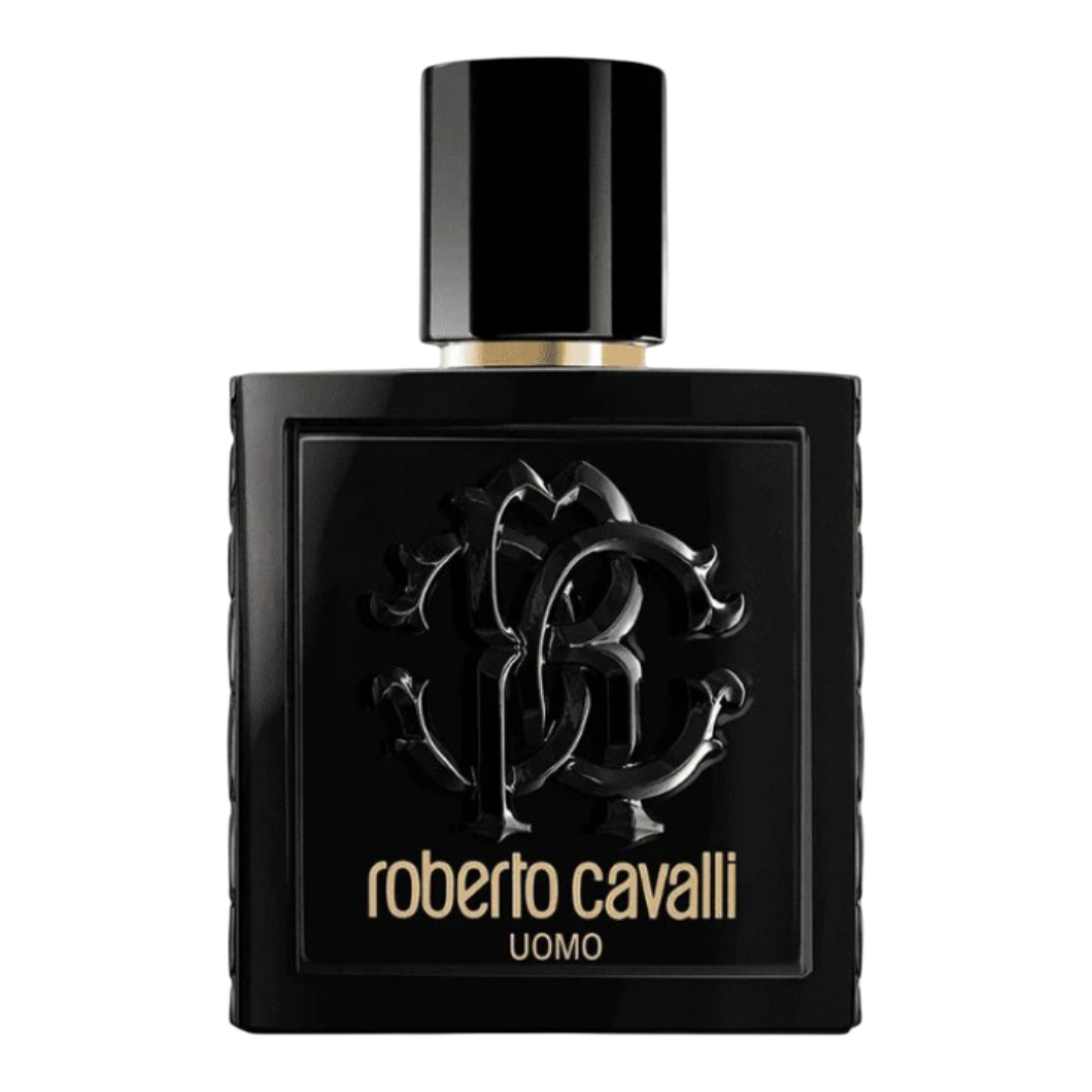 ROBERTO CAVALLI UOMO EDT 100 ML
